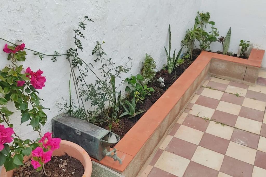 הוילה איסלה כריסטינה Casa Dos Mareas מראה חיצוני תמונה